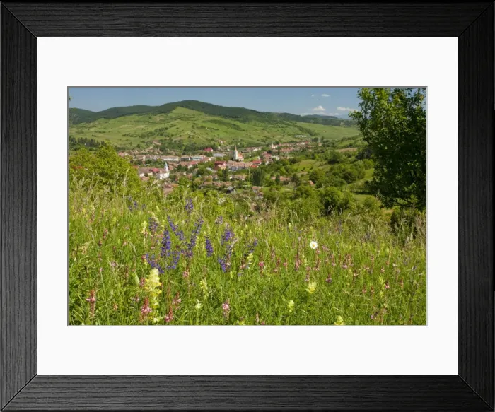 Framed Print : Old Romanian village, Teaca / Teke, views from a flowery hay meadow. Romania Framed Print : Old Romanian village, Teaca / Teke, views from a flowery hay meadow. Romania