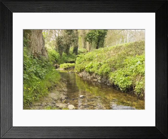 Framed Print : Brook Bloemenbeek - In spring - The Netherlands, Overijssel, Twente, De Lutte Framed Print : Brook Bloemenbeek - In spring - The Netherlands, Overijssel, Twente, De Lutte