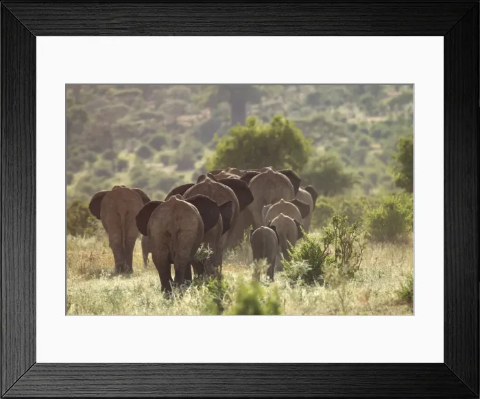 Framed Print : send to sg to ngs Framed Print : send to sg to ngs