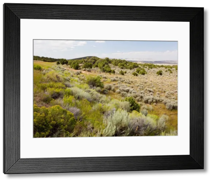 Framed Print : High Sagebrush desert, north of Rocksprings, Wyoming, USA, North America Framed Print : High Sagebrush desert, north of Rocksprings, Wyoming, USA, North America