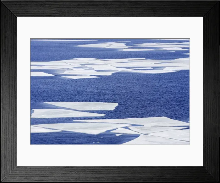 Framed Print : Pack Ice in Antarctica Framed Print : Pack Ice in Antarctica