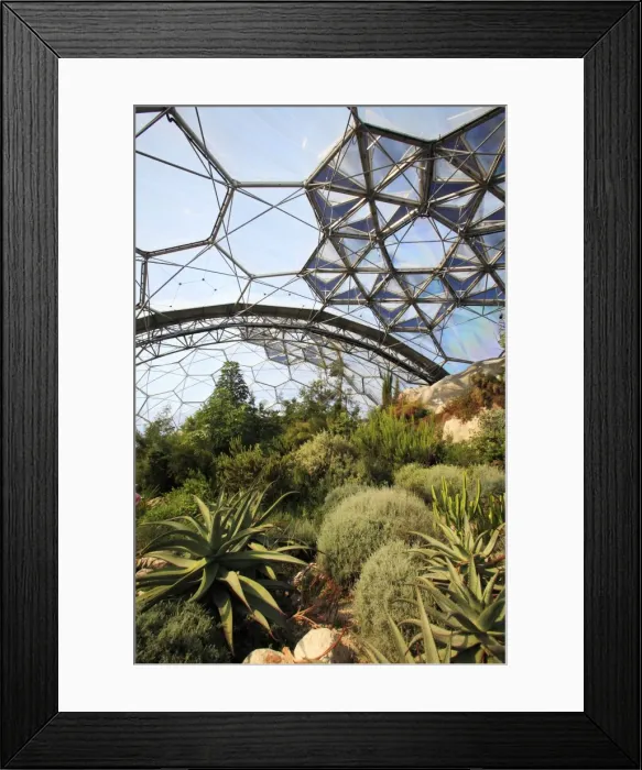 Framed Print : Eden Project - inside Mediterranean Biome, Bodelva, St Austell, Cornwall Framed Print : Eden Project - inside Mediterranean Biome, Bodelva, St Austell, Cornwall