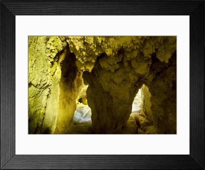 Framed Print : Limestone Tunnel a narrow path, which forks in the centre, leads through a cave-like tunnel of limestone Ruakuri Bush and Scenic Reserve, Waitomo, King Country, North Island, New Zealand Framed Print : Limestone Tunnel a narrow path, which forks in the centre, leads through a cave-like tunnel of limestone Ruakuri Bush and Scenic Reserve, Waitomo, King Country, North Island, New Zealand