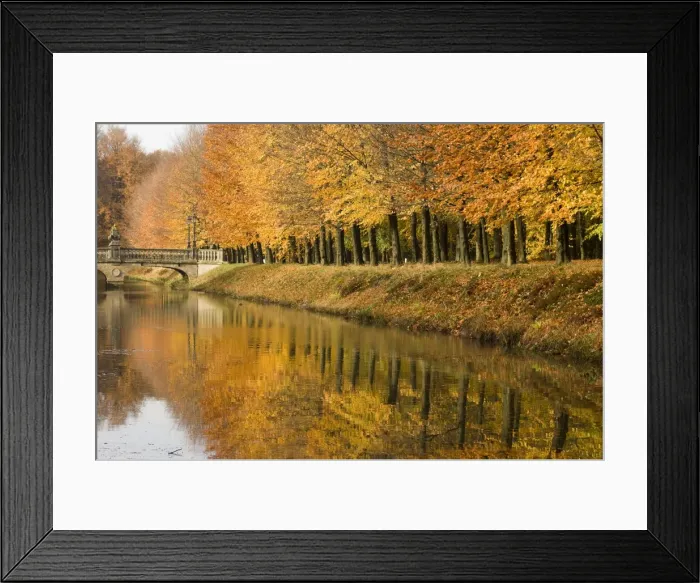 Framed Print : Beech Trees - Autumn colours - Ditch with castle bridge The Netherlands, Overijssel, Ommen, Eerde estate Framed Print : Beech Trees - Autumn colours - Ditch with castle bridge The Netherlands, Overijssel, Ommen, Eerde estate