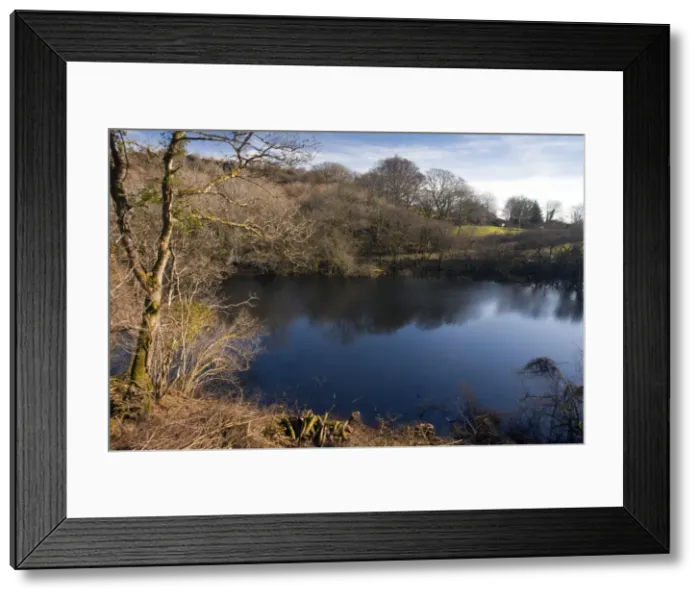 Framed Print : Turlough - in Carmel National Nature Reserve - in february; the only turlough in mainland Britain - Carmarthenshire - Wales Framed Print : Turlough - in Carmel National Nature Reserve - in february; the only turlough in mainland Britain - Carmarthenshire - Wales