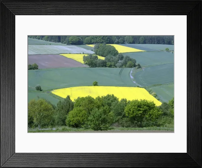 Framed Print : Crops - cereal and oil-rape seed crops on hill land, Hessen, Germany Framed Print : Crops - cereal and oil-rape seed crops on hill land, Hessen, Germany