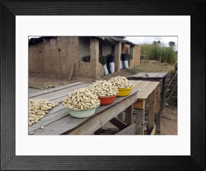 Framed Print : Sale of peanuts at roadside Zambia, Africa Framed Print : Sale of peanuts at roadside Zambia, Africa