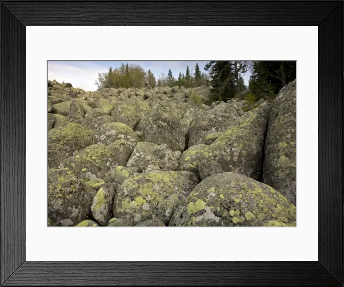 Framed Print : Vitosha stone river - (also called stone run - stone stream or stone sea) peculiar geomorphological phenomenon formed from granite in periglacial conditions - Mount Vitosha - Bulgaria Framed Print : Vitosha stone river - (also called stone run - stone stream or stone sea) peculiar geomorphological phenomenon formed from granite in periglacial conditions - Mount Vitosha - Bulgaria