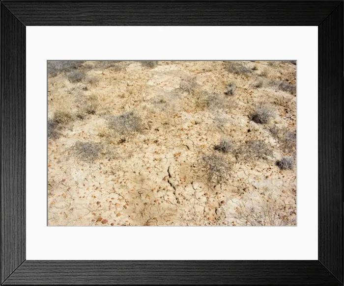 Framed Print : Drought - completely dried up pasture totally devoid of any signs of plant live. The earth is cracked up and all vegetation is bone dry. It is time of drought - Channel Country, Outback, Queensland, Australia Framed Print : Drought - completely dried up pasture totally devoid of any signs of plant live. The earth is cracked up and all vegetation is bone dry. It is time of drought - Channel Country, Outback, Queensland, Australia