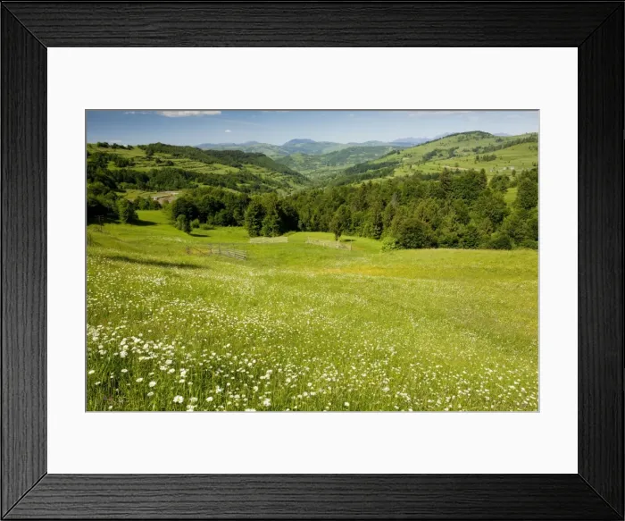 Framed Print : Looking towards the Rodnii mountains from near Nasaud; north Romania Framed Print : Looking towards the Rodnii mountains from near Nasaud; north Romania