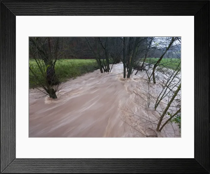 Framed Print : Flash flood - in hill land stream after torrential autumn rain - Lower Saxony - Germany Framed Print : Flash flood - in hill land stream after torrential autumn rain - Lower Saxony - Germany