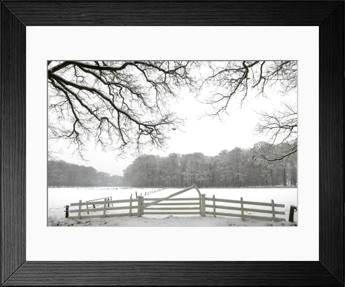Framed Print : snowy landscape Framed Print : snowy landscape