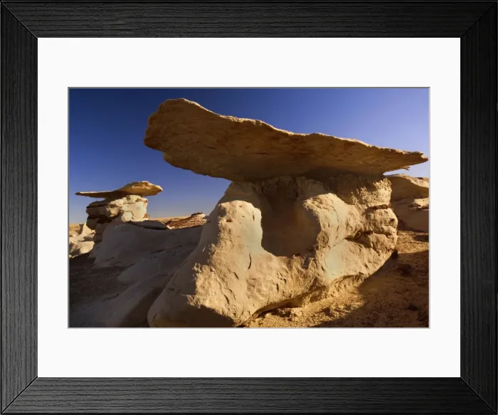 Framed Print : Mushroom Hoodoos - eroded clay sculptures with rocks balanced on their tops located amidst badlands - Bisti Badlands Wilderness Area - New Mexico - USA Framed Print : Mushroom Hoodoos - eroded clay sculptures with rocks balanced on their tops located amidst badlands - Bisti Badlands Wilderness Area - New Mexico - USA