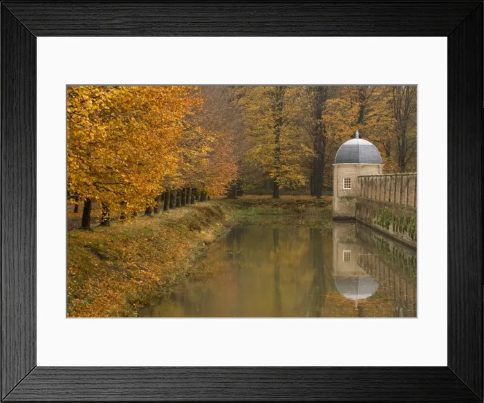 Framed Print : Beech Trees - Autumn colours The Netherlands, Overijssel, Ommen, Eerde estate Framed Print : Beech Trees - Autumn colours The Netherlands, Overijssel, Ommen, Eerde estate