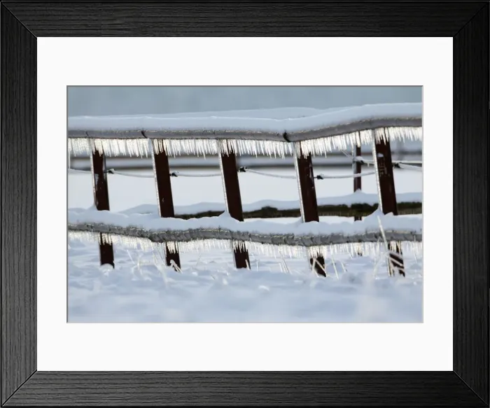 Framed Print : Icicles - hanging down from fence in winter - Lower Saxony - Germany Framed Print : Icicles - hanging down from fence in winter - Lower Saxony - Germany