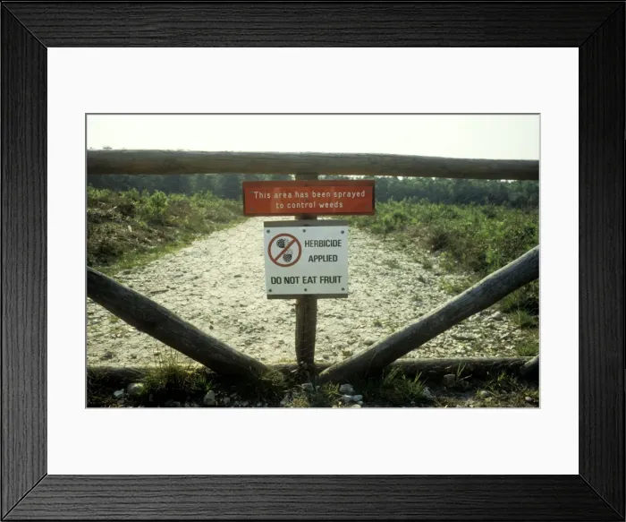 Framed Print : Herbicide Notice warning against picking herbicide-sprayed blackberries, UK Framed Print : Herbicide Notice warning against picking herbicide-sprayed blackberries, UK