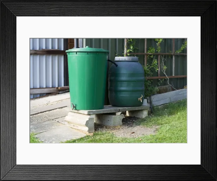 Framed Print : Water Tanks - two linked green plastic water butts collecting rainwater from shed roof. Cheltenham UK Framed Print : Water Tanks - two linked green plastic water butts collecting rainwater from shed roof. Cheltenham UK