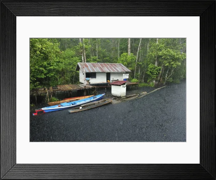 Framed Print : Heavy rain - blackwater river on the way to Camp Leakey - ranger station - Tanjung Puting National Park - Kalimantan - Borneo - Indonesia Framed Print : Heavy rain - blackwater river on the way to Camp Leakey - ranger station - Tanjung Puting National Park - Kalimantan - Borneo - Indonesia