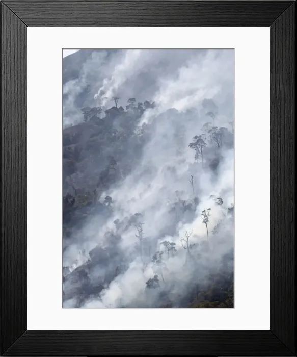 Framed Print : Forest Fire - Puerto Cabello - Venezuela Framed Print : Forest Fire - Puerto Cabello - Venezuela