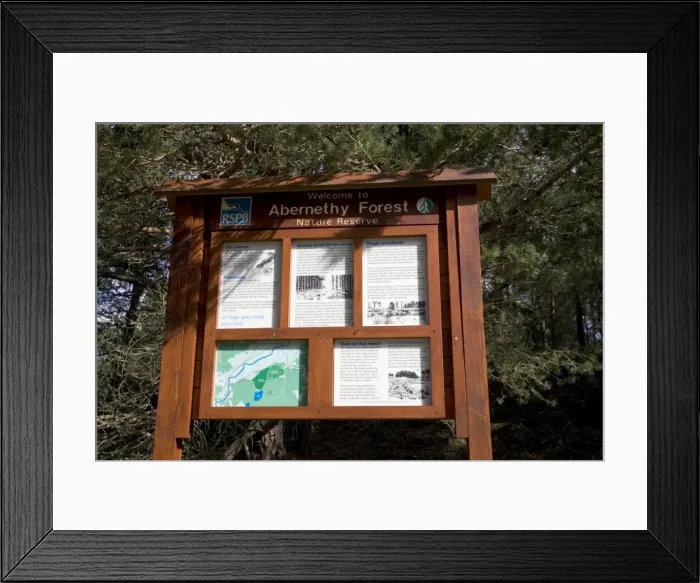 Framed Print : RSPB Signboard - Abernethy Forest Nature Reserve Strathspey, Scotland Framed Print : RSPB Signboard - Abernethy Forest Nature Reserve Strathspey, Scotland