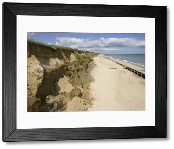 Framed Print : Eroding cliffs severe coastal erosion Happisburgh North Norfolk Coast UK Framed Print : Eroding cliffs severe coastal erosion Happisburgh North Norfolk Coast UK