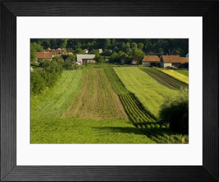 Framed Print : Strip farming arable fields in Aita Mare near Brasov, Transilvania, Romania Framed Print : Strip farming arable fields in Aita Mare near Brasov, Transilvania, Romania