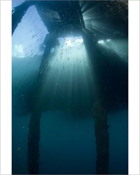 Sunrays under the Air Manis Jetty - Ambon - Indonesia