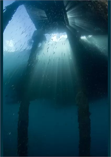 Sunrays under the Air Manis Jetty - Ambon - Indonesia
