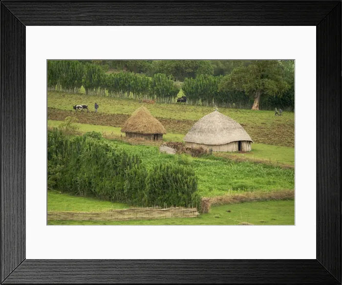 Framed Print : Farmland - Eastern Highlands of Ethiopia - Africa Framed Print : Farmland - Eastern Highlands of Ethiopia - Africa