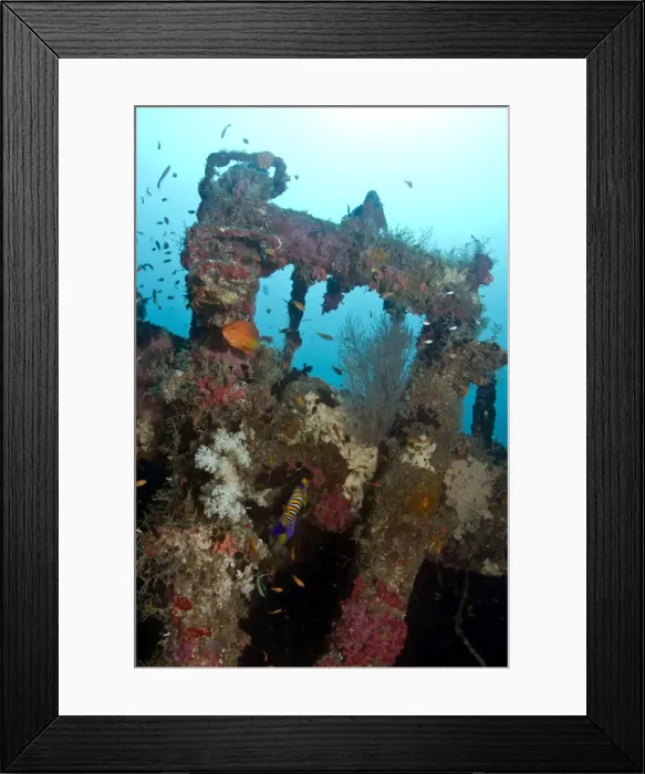 Framed Print : Kuda Giri Wreck - South-Male atoll - Maldives