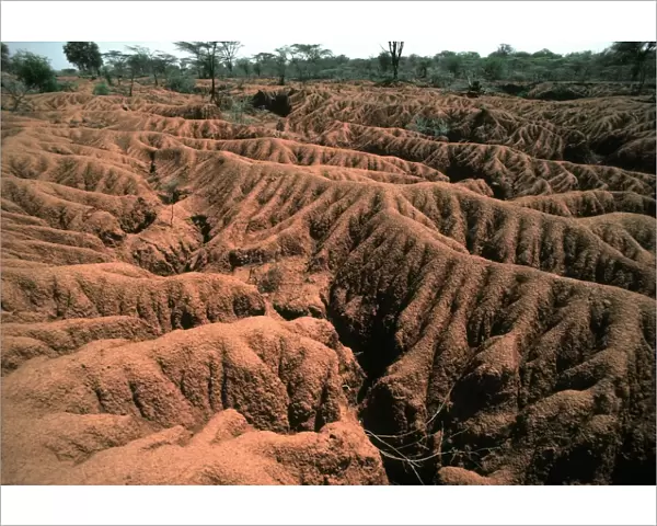 Serious soil erosion near Lake Baringo, Kenya, Africa