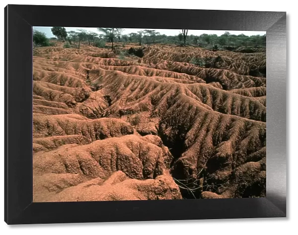 Serious soil erosion near Lake Baringo, Kenya, Africa