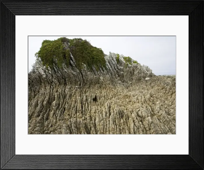 Framed Print : Rock formations - Oligocene tilted folded vertical limestone rocks on coast of Kaikoura - South Island - New Zealand Framed Print : Rock formations - Oligocene tilted folded vertical limestone rocks on coast of Kaikoura - South Island - New Zealand