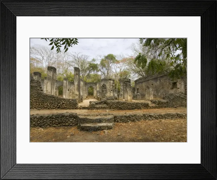 Framed Print : Africa - Ruins of Great Mosque Gedi in the Arabuko-Sokoke forest near Malindi, Kenya Framed Print : Africa - Ruins of Great Mosque Gedi in the Arabuko-Sokoke forest near Malindi, Kenya