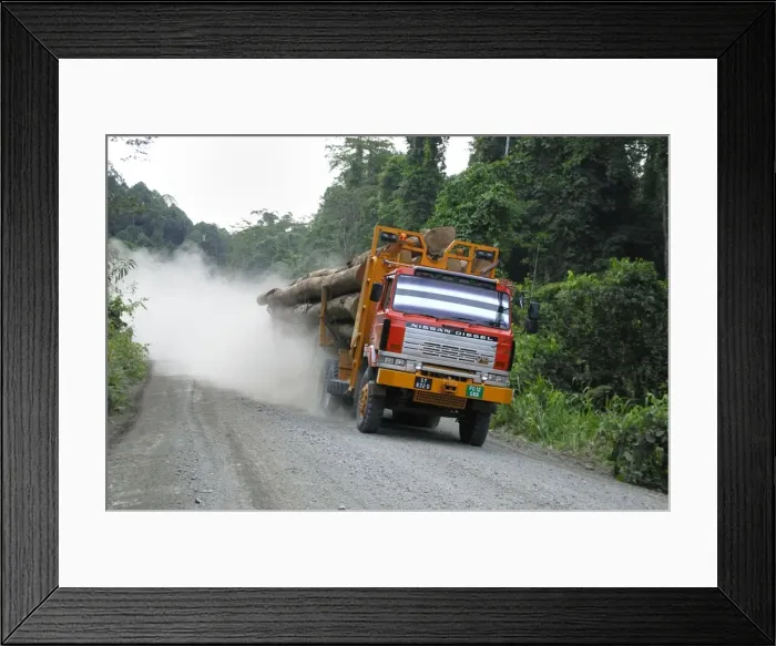Framed Print : Truck with timber from a logging area near the Danum Valley Conservation Area - Sabah - Borneo - Malaysia Framed Print : Truck with timber from a logging area near the Danum Valley Conservation Area - Sabah - Borneo - Malaysia