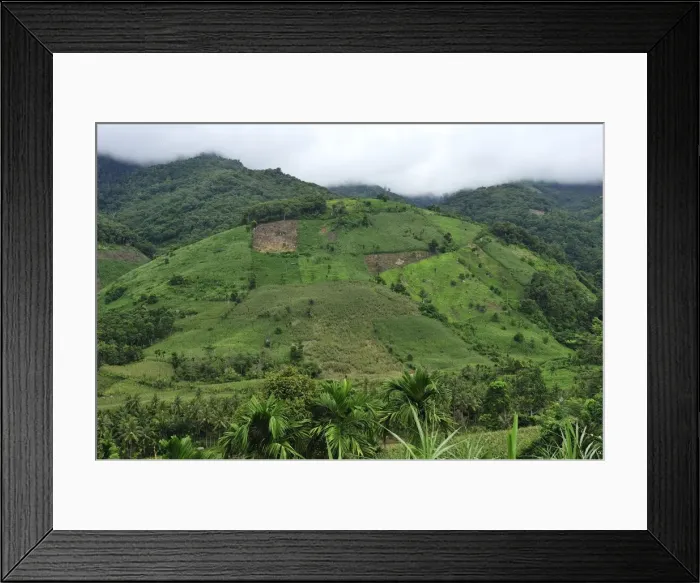 Framed Print : crop plantation on deforested area - Northern Sumatra - Indonesia Framed Print : crop plantation on deforested area - Northern Sumatra - Indonesia