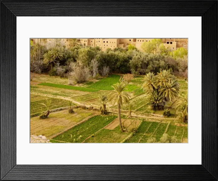 Framed Print : Cultivated oasis in the Todra valley above Tinerhir, with date palms, alfalfa, peaches etc in fields. South Morocco Framed Print : Cultivated oasis in the Todra valley above Tinerhir, with date palms, alfalfa, peaches etc in fields. South Morocco