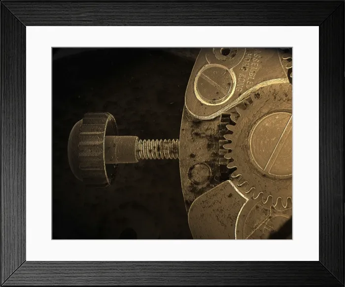 Framed Print : Scanning Electron Micrograph (SEM); Watch Winder; Magnification x 20 (A4 size: 29. 7 cm width) Framed Print : Scanning Electron Micrograph (SEM); Watch Winder; Magnification x 20 (A4 size: 29. 7 cm width)