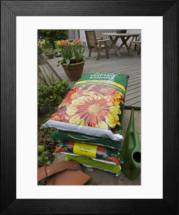 Framed Print : Compost - large bags of peat free multipurpose organic compost in garden. Cotswolds - UK Framed Print : Compost - large bags of peat free multipurpose organic compost in garden. Cotswolds - UK