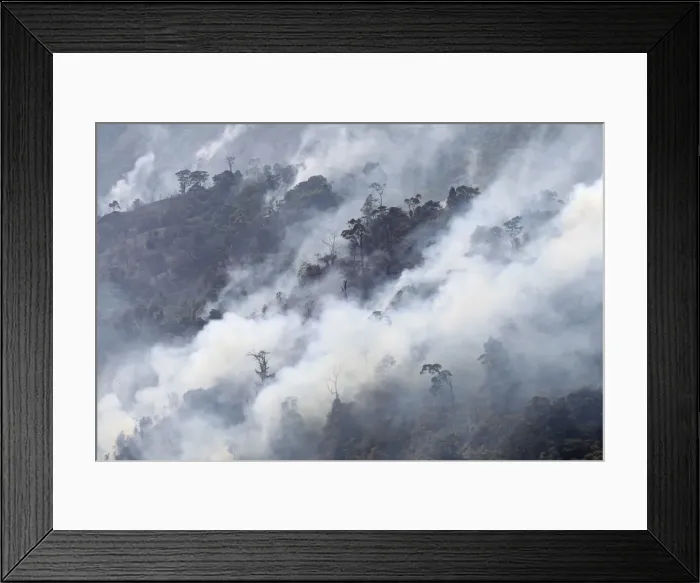 Framed Print : Forest Fire - Puerto Cabello - Venezuela Framed Print : Forest Fire - Puerto Cabello - Venezuela