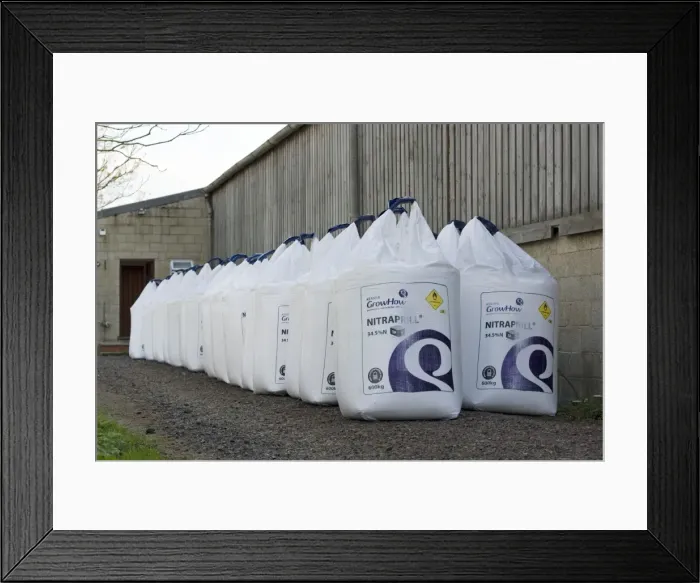 Framed Print : Fertiliser - stack of large white bags of farm Nitraprill nitrogen fertiliser outside barn. Cotswold farm - UK Framed Print : Fertiliser - stack of large white bags of farm Nitraprill nitrogen fertiliser outside barn. Cotswold farm - UK
