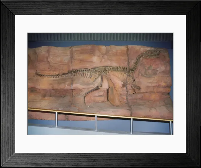 Framed Print : Monolophosaurus Dinosaur Skeleton