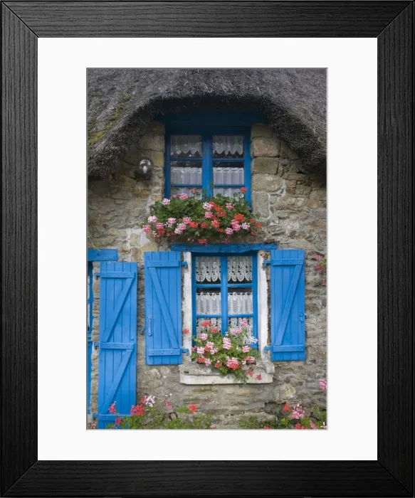 Framed Print : Attractive thatched French cottage blue door and shutters flowers window boxes Brittany France Framed Print : Attractive thatched French cottage blue door and shutters flowers window boxes Brittany France