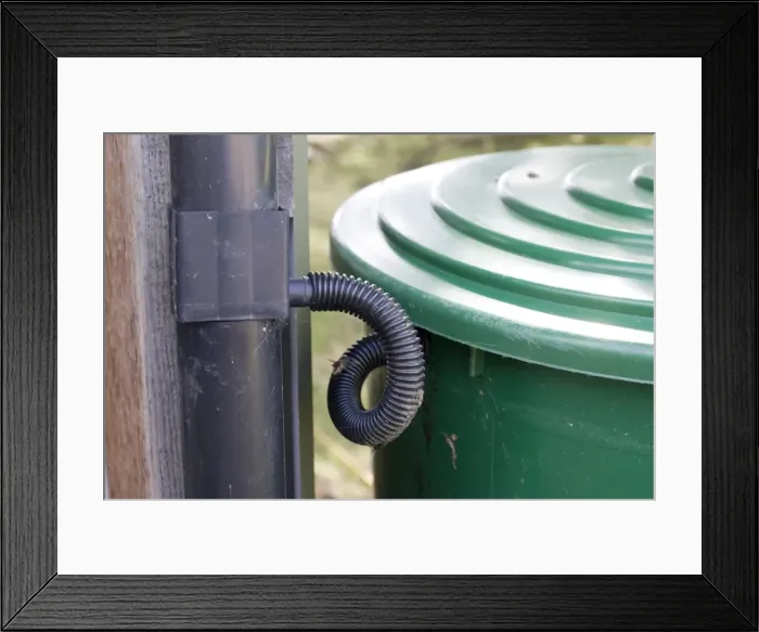 Framed Print : Water Tank - rainwater diverter on downpipe from roof with pipe connecting to green water butt, Cotswolds, UK Framed Print : Water Tank - rainwater diverter on downpipe from roof with pipe connecting to green water butt, Cotswolds, UK