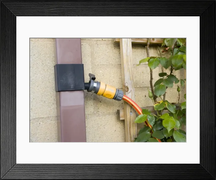 Framed Print : Garden - hosepipe connected to rainwater diverter on drainpipe taking rainwater to pond through hosepipe Cotswolds UK Framed Print : Garden - hosepipe connected to rainwater diverter on drainpipe taking rainwater to pond through hosepipe Cotswolds UK