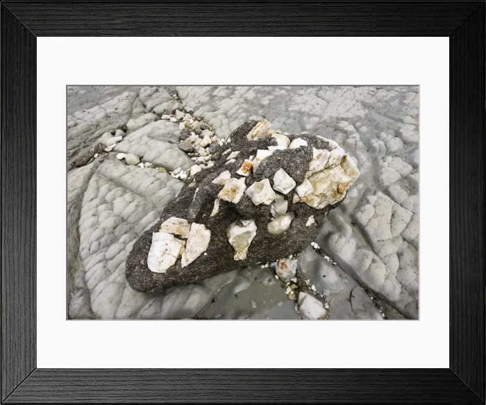 Framed Print : Conglomerate rocks - on coast of Kaikoura. South Island - New Zealand Framed Print : Conglomerate rocks - on coast of Kaikoura. South Island - New Zealand