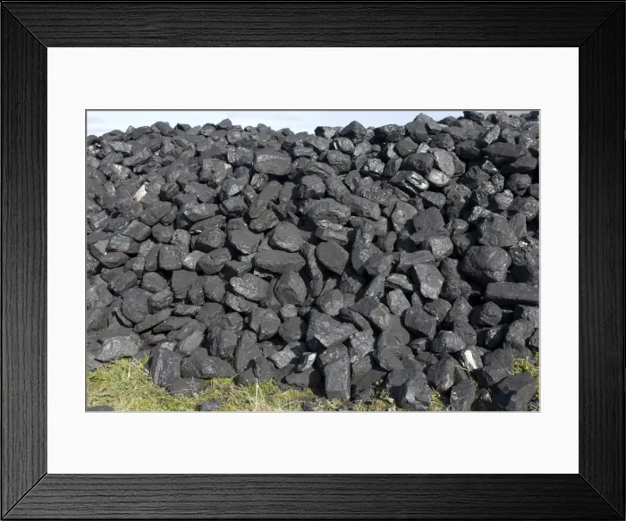 Framed Print : Coal - pile at Steam Engine Rally Cheltenham Racecourse Gloucestershire UK Framed Print : Coal - pile at Steam Engine Rally Cheltenham Racecourse Gloucestershire UK
