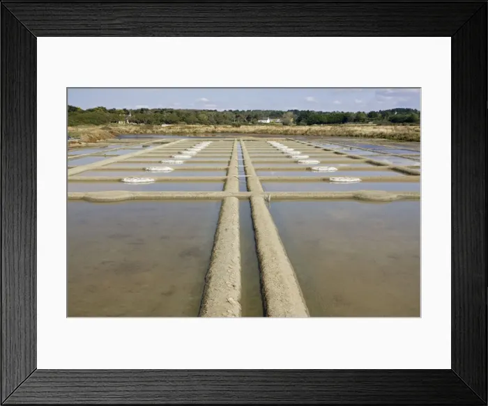 Framed Print : Salt marsh and evaporation pans Guerande Brittany France Framed Print : Salt marsh and evaporation pans Guerande Brittany France