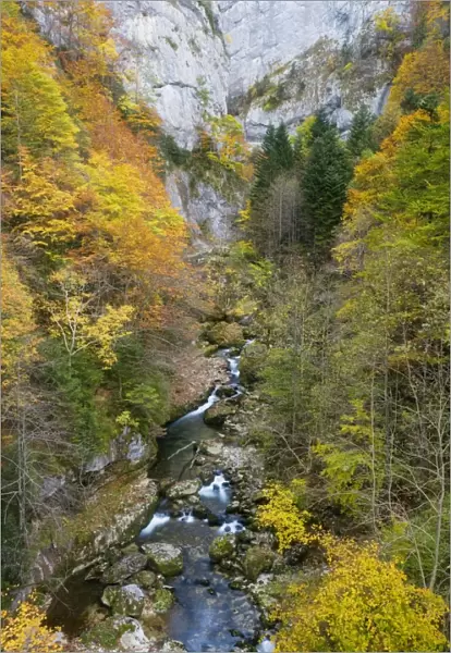Gorges de La Bourne, in the Vercors Mountains, Autumn. Limestone. South-east France