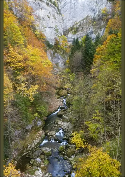 Gorges de La Bourne, in the Vercors Mountains, Autumn. Limestone. South-east France